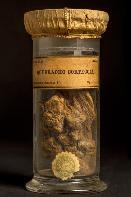 QUEBRACHO - corteccia